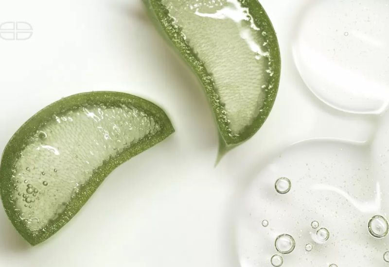 Aloe-Vera-Scheiben mit klarer Gel-Textur und Deynique Logo